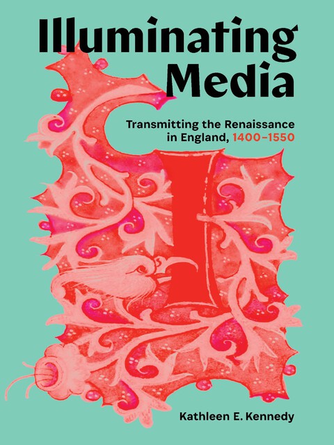 Cover of Illuminating Media